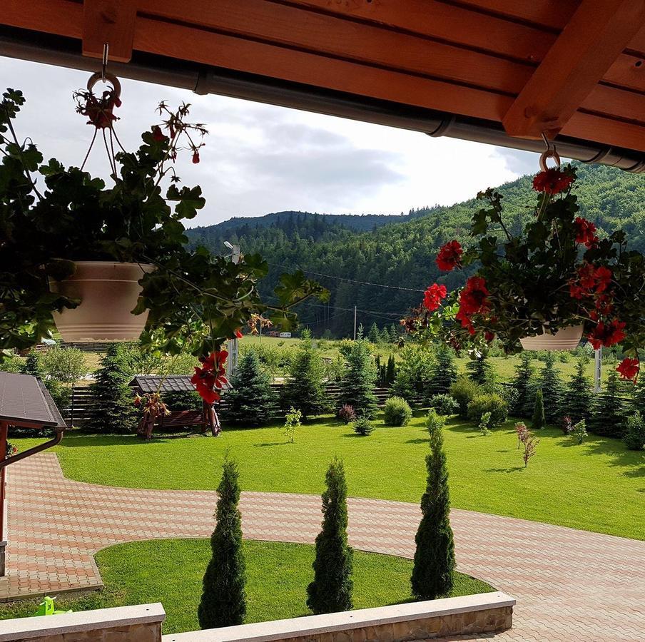 Pensiunea Putnisoara Exterior foto
